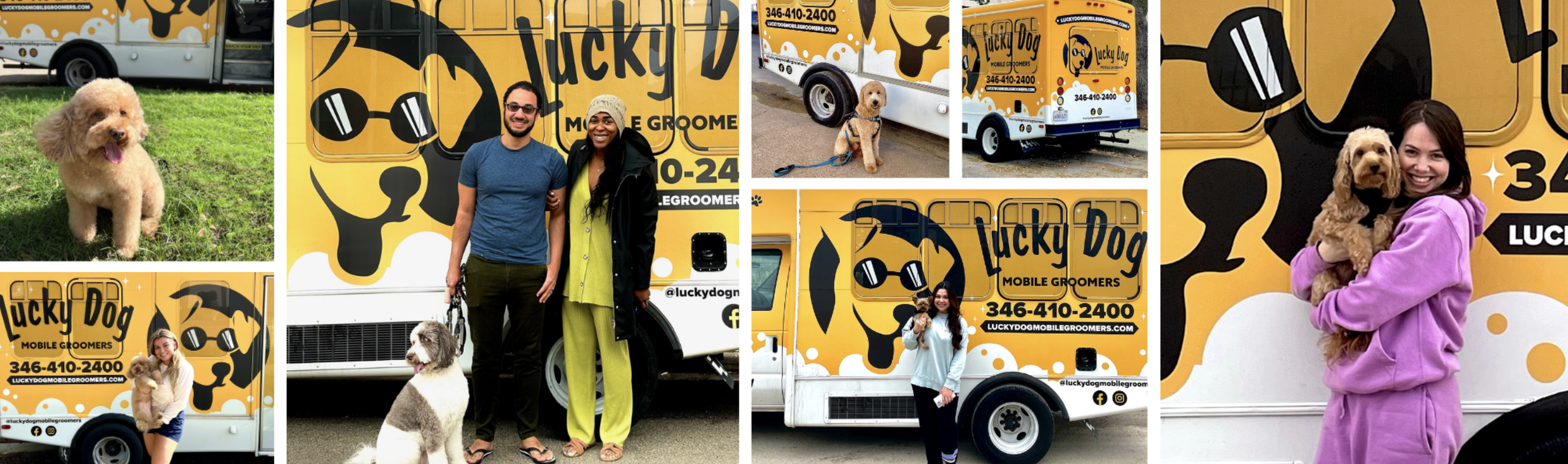 Lucky Dog Mobile Groomers SEO and Social Media