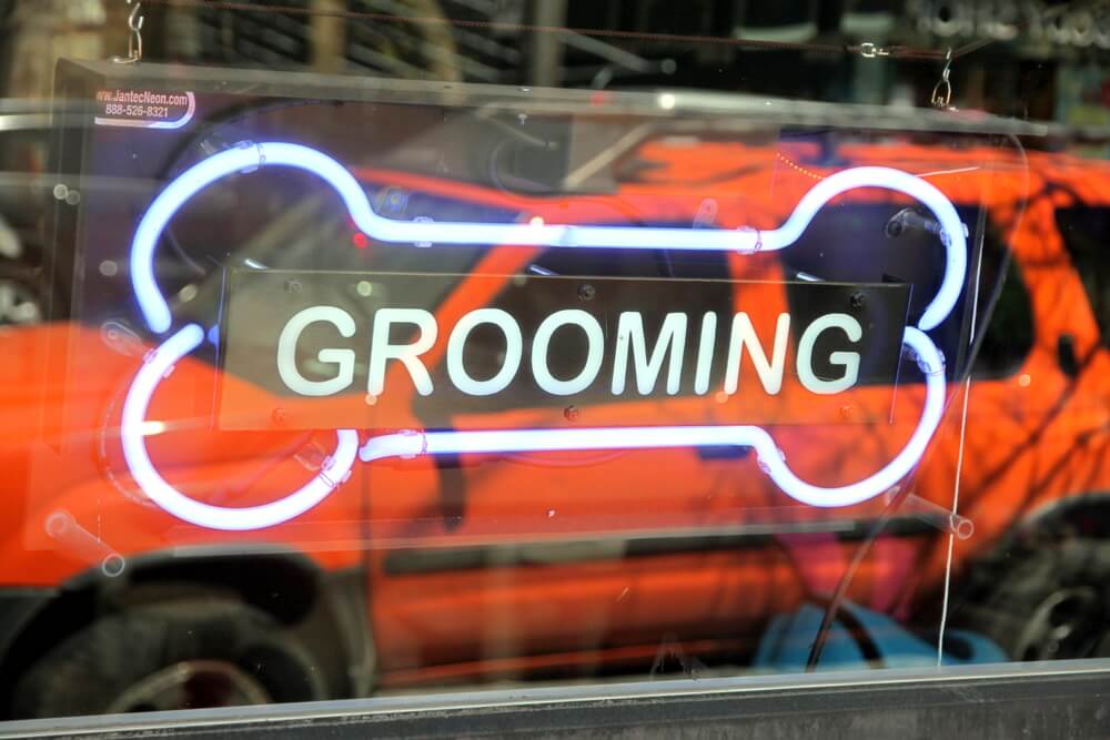 neon pet grooming business name sign