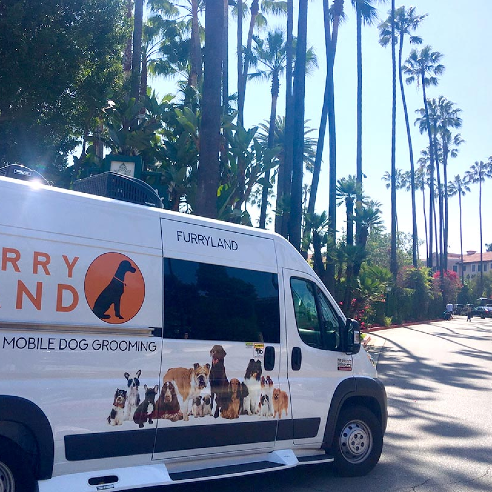 furry land van