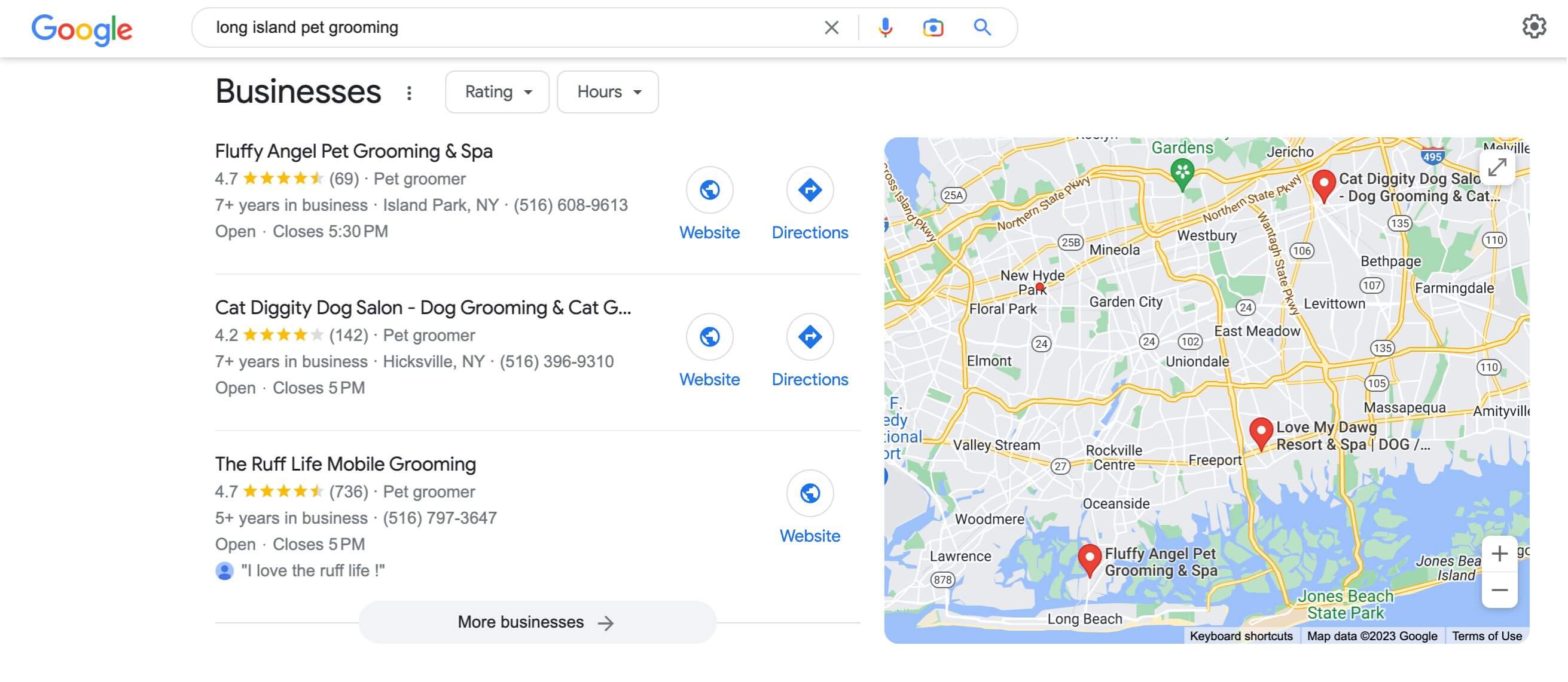 google search for "long island dog groomer" and google maps listings 