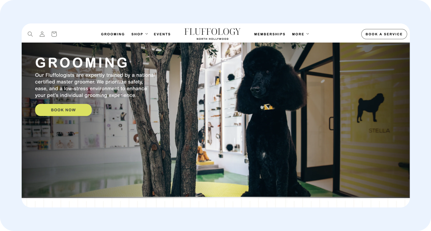 fluffology_website